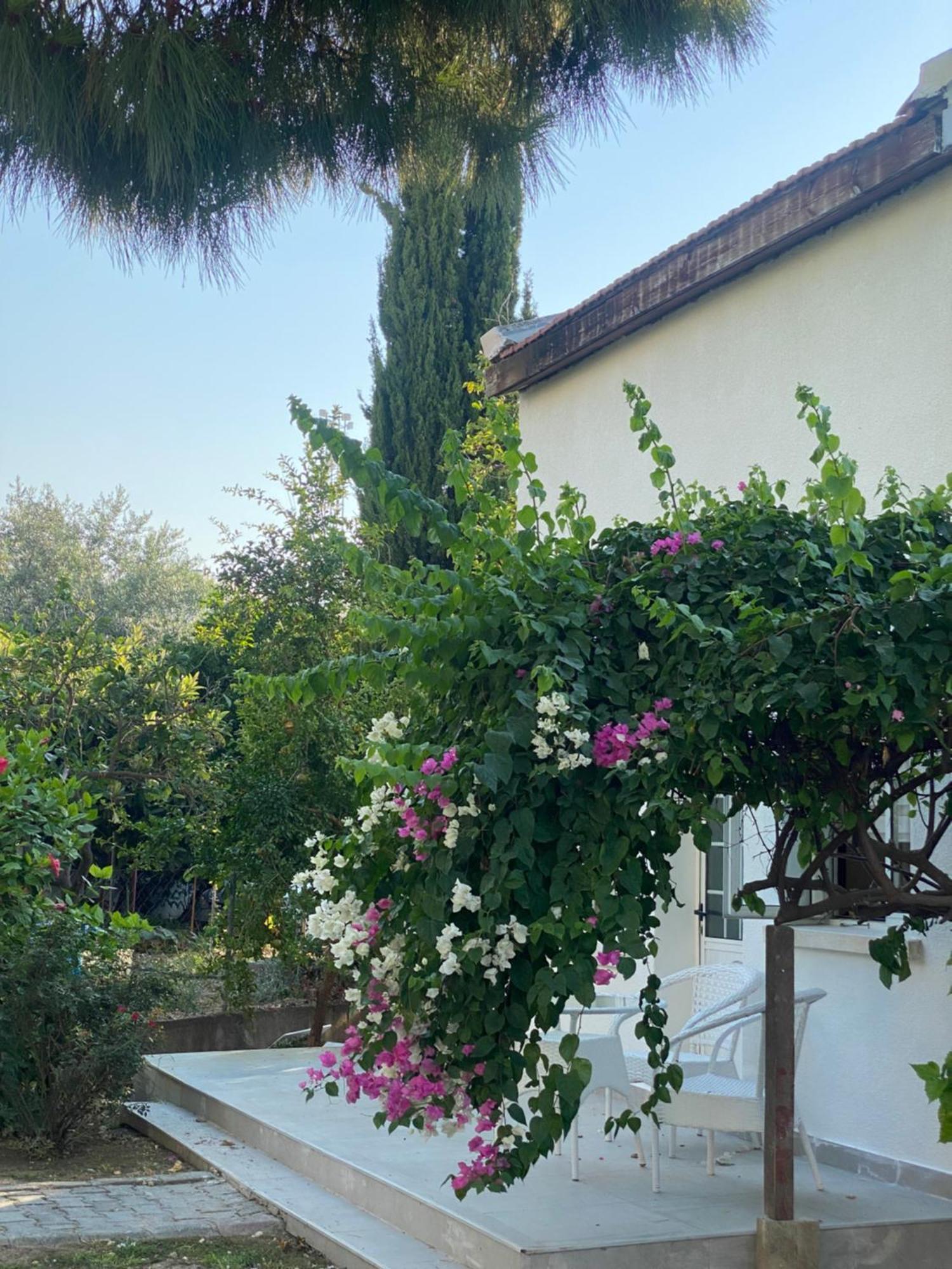 The Prince Inn Hotel & Villas Agios Georgios (Kyrenia) Exterior foto